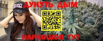 стаф Сланцы