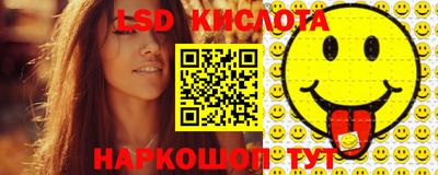 стаф Сланцы