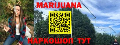 стаф Сланцы