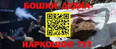стаф Сланцы