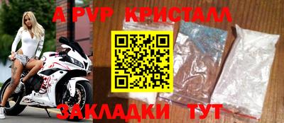 стаф Сланцы