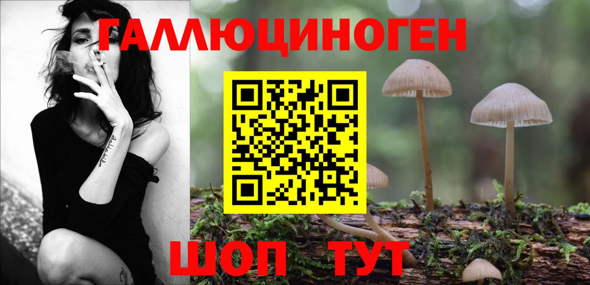 Острогожск  Галлюциногенные грибы MAGIC MUSHROOMS  где купить наркоту  Вход с VPN  Галлюциногенные грибы мицелий 